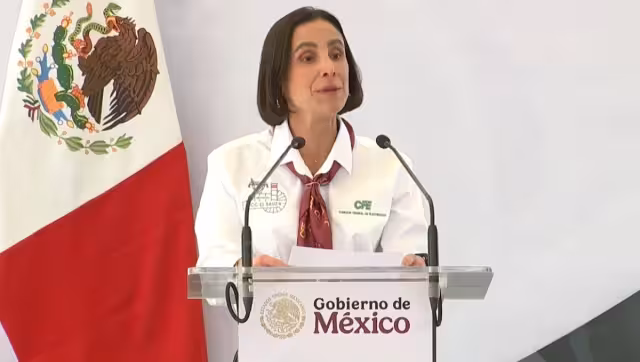 Luz Elena González, secretaria de Energía