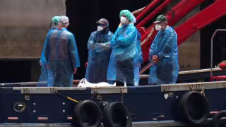 Salud descarta casos de hantavirus en México tras brote en crucero: ¿cuál es el riesgo real?