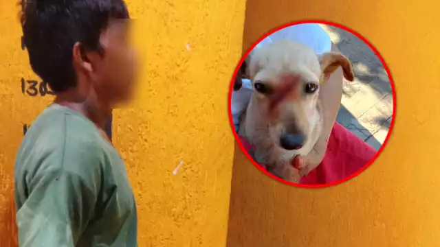 Sin motivo aparente Goku le asestó un golpe con el arma a la Chihuahua