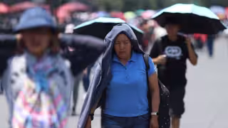 Activan Alerta Amarilla por calor en CDMX este 8 de mayo: estas alcaldías tendrán hasta 31 grados