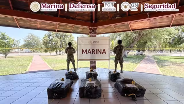 Las autoridades destacaron que este decomiso evitó la posible distribución de cerca de 530 mil dosis de droga