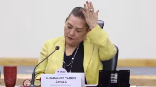 INE responde a investigación contra Guadalupe Taddei y promete transparentar contratos y licitaciones
