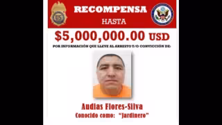 Cae “El Jardinero” en Nayarit: buscado por México y EU, ofrecían 5 millones de dólares por su captura