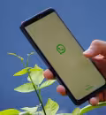 ¿Se cayó Whatsapp este 13 de agosto? Usuarios reportan fallas y esto es lo que se sabe
