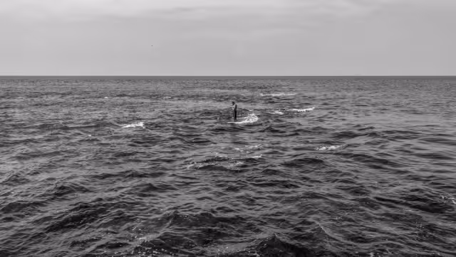 César Rodríguez es originario de Tepic, Nayarit, y se ha especializado en temas como migración, derechos humanos y medio ambiente