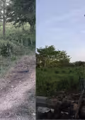 Las lluvias y fuertes vientos provocaron afectaciones en comunidades rurales de Candelaria.