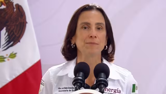 Luz Elena González Escobar, secretaria de Energía