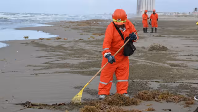 La presidenta Claudia Sheinbaum aseguró que, pese al incidente, las playas se mantienen en condiciones adecuadas, derivado de los trabajos de saneamiento y vigilancia
