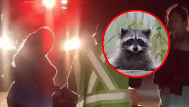 El motociclista fue atendido por paramédicos tras el accidente