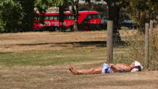 Austria rompe récord histórico de calor: Viena alcanza 41 grados en plena alerta roja