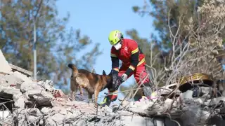 En Turquía se encuentra personal de la Sedena y de la Cruz Roja ayudando en las labores de rescate