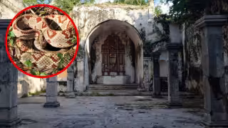Mopila: el pueblo fantasma de Yucatán donde abundan las serpientes