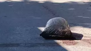 Bolsa con vísceras y sangre en calle de Tekax genera fuerte movilización policiaca