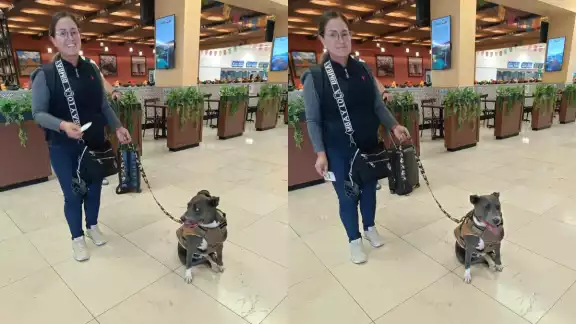 Angelina Praga arribó de la  capital del país con su pitbull.