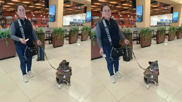 Angelina Praga arribó de la  capital del país con su pitbull.