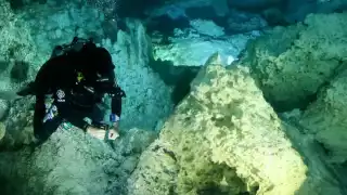 Los cenotes son uno de los principales atractivos de la Riviera Maya