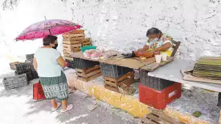 Foto: Martín Zetina