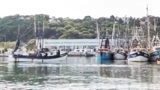 La oficina naval dijo entender a los empresarios, pero requieren adaptar sus formularios. Foto: Alan Gómez.