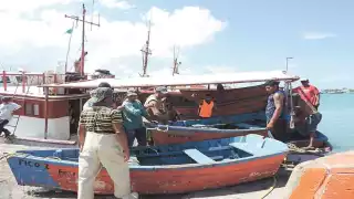 Captura del pulpo en Yucatán genera derrama de 600 millones de pesos