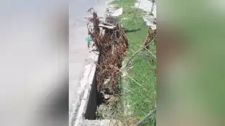 Sin repararse, alcantarillas dañadas en la avenida Ernesto Villanueva de Chetumal