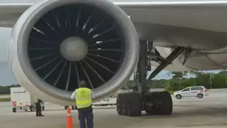 El proyecto fue ingresado a la Secretaría del Medio Ambiente y Recursos Naturales antes de la declaración de pandemia.