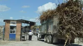Productores de Quintana Roo definirán el pago 2020-2021 de la tonelada de caña