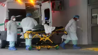 La convocatoria sigue abierta para recibir a más voluntarios.