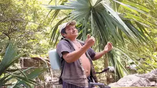 En el estado de Yucatán son más los hombres quienes presentan problemas de sordera