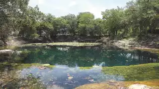 La composición de la roca que predomina en el Estado, es a base de organismos marinos con exoesqueleto.
