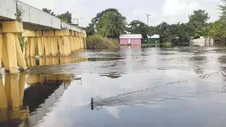 Foto: Emmanuel Pérez