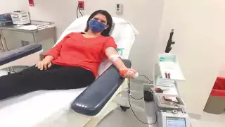En Campeche hubo 43 donaciones altruistas de sangre, que representan el 0.6 por ciento del total