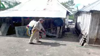 La enfermedad se estancó en 39 infectados, lo que representa 26 menos que el mismo periodo de 2019. Foto: Por Esto!