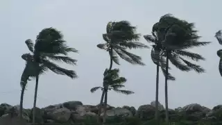 Sus efectos comenzaron a sentirse en Mérida a las 3:00 horas. Foto: Internet.