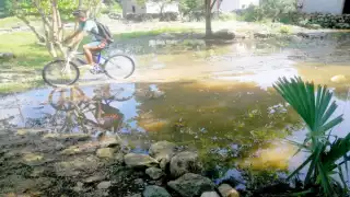 Las anegaciones se concentraron en la zona de la costa. Foto: Jorge Aké.
