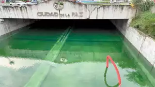 El nivel del agua tiene una profundidad de 2.30 metros.