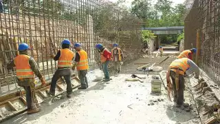 Se trata de canales amplios por los que podrán pasar diferentes especies animales e incluso gente.