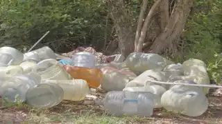 Foto: Irene Barradas