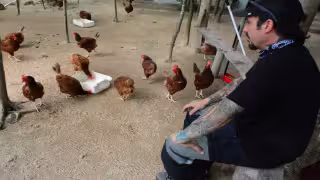 "Tierra de animales", santuario dedicado a la protección de especies en Cancún