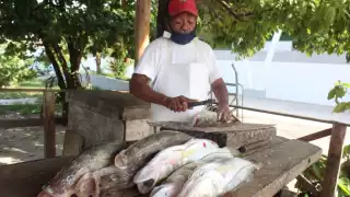 Los alineadores señalan que se mantienen con el poco trabajo que les dan los restaurantes.Foto: Emmanuel Sansores.