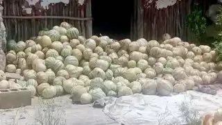 Foto: José Manrique Euán Martín