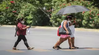 En lo que va de 2020 se han reportado 518 violaciones.