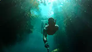 Ecoparque Cenote boca de Puma