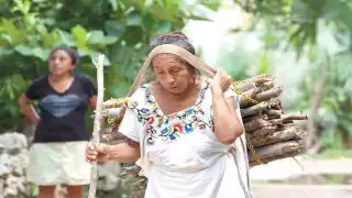 A sus 66 años, abuelita de Chicán recorre 3 kilómetros al día para recolectar leña