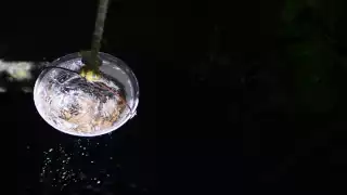 Foto: Mario Hernández