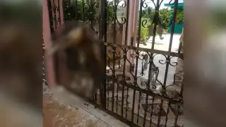 Foto: Yaniir Vazquezz Chel en Facebook