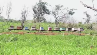 Foto: Néstor Cuevas