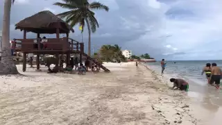 Foto: Mario Hernández