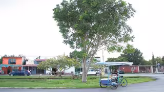 La mujer no podrá salir del estado ni mucho menos del país