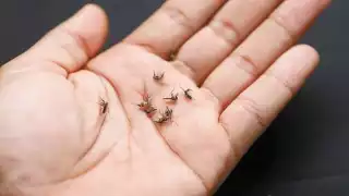 Foto: Martín Zetina