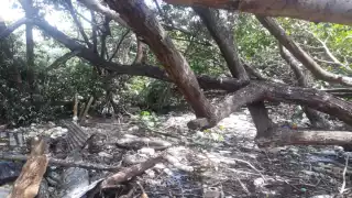 Señalan que los vecinos deberán comprometerse a tener limpia la zona. Fotos: Irene Barradas.